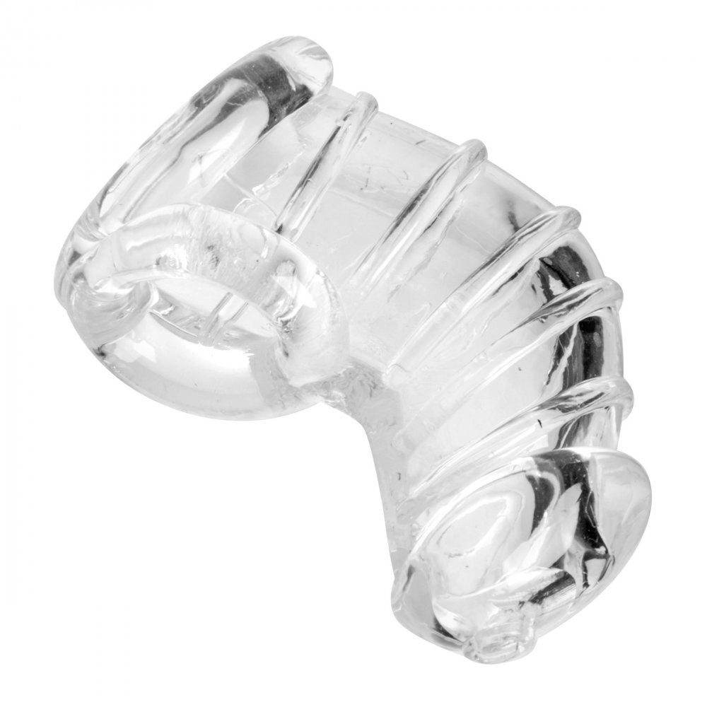 Master Series Detained Soft Body Chastity Cage